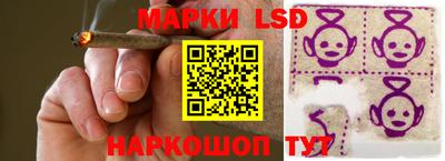мдпв Заводоуковск
