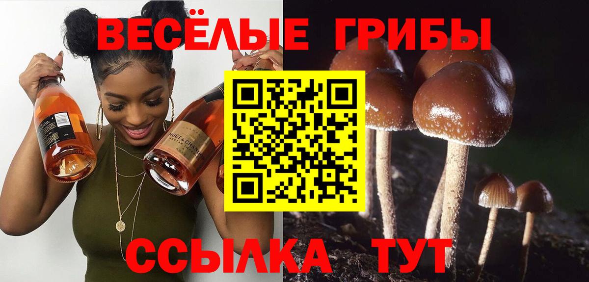 Галлюциногенные грибы Psilocybine cubensis  Вход с VPN  Электросталь 